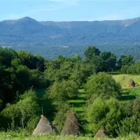 babou-maramures-breb-vznpe