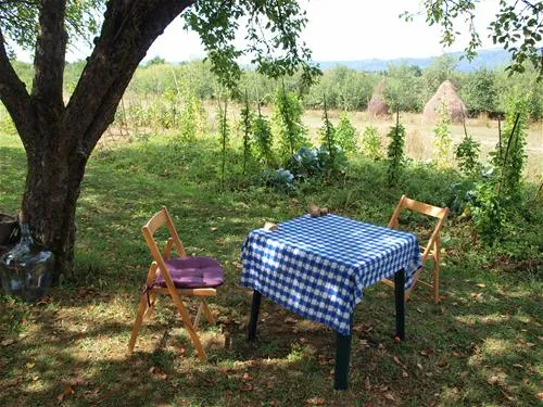 babou-maramures-breb-wyauy