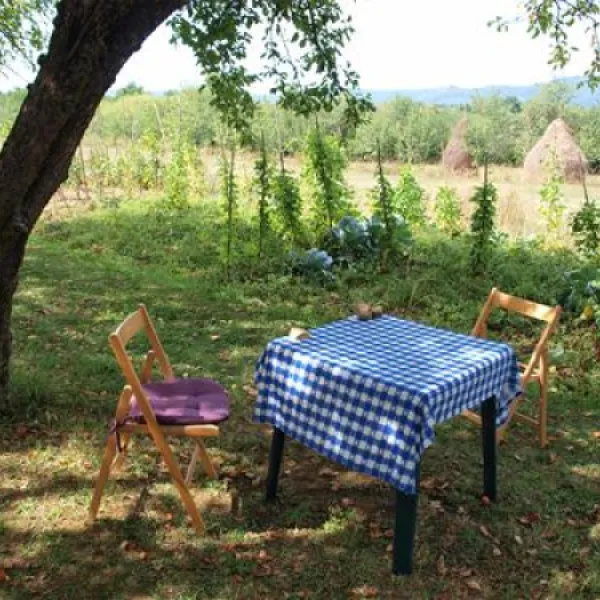 babou-maramures-breb-wyauy