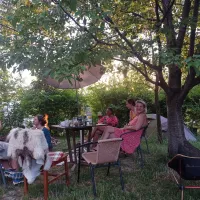 babou-maramures-breb-xzq9u