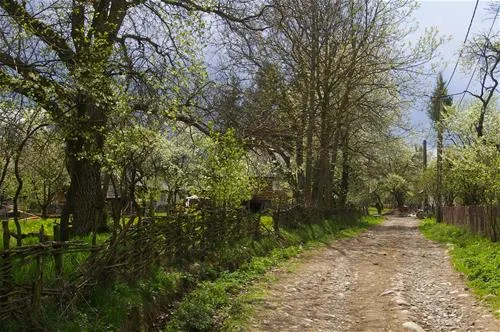 babou-maramures-breb-yu4ji