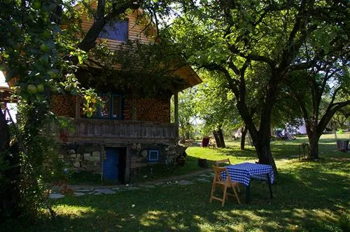 babou-maramures-breb-z2rsa
