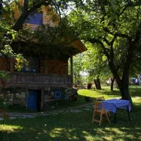 babou-maramures-breb-z2rsa