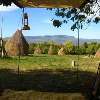 babou-maramures-breb-zapca