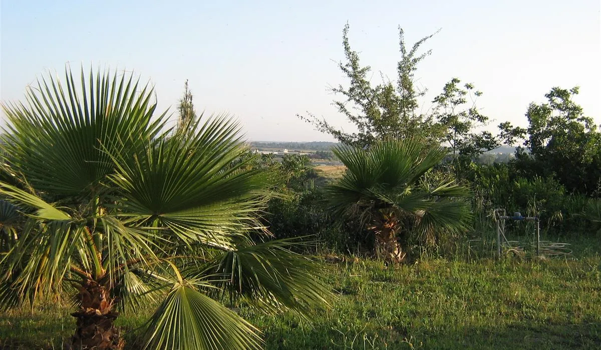 dragon-camping-mersinanamur-hc6wl