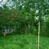 dragon-camping-mersinanamur-thp06