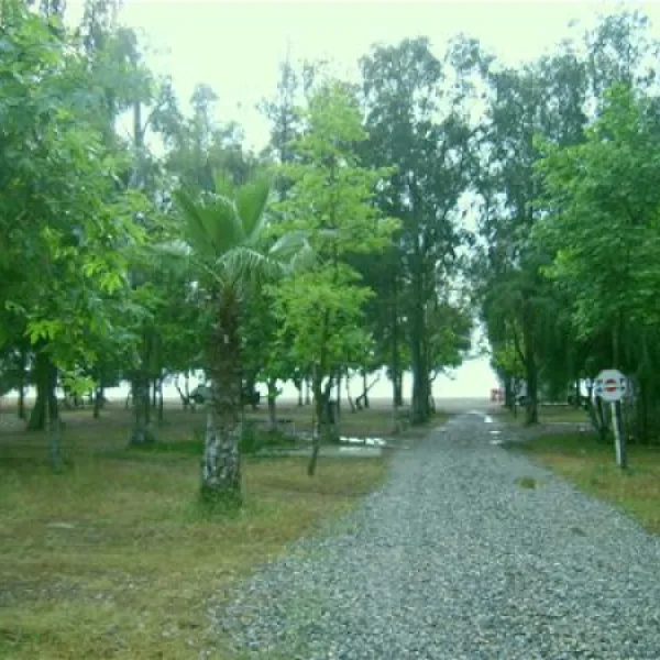 dragon-camping-mersinanamur-zbibe