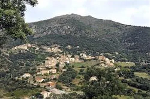 camping-e-canicce-moltifao-611za