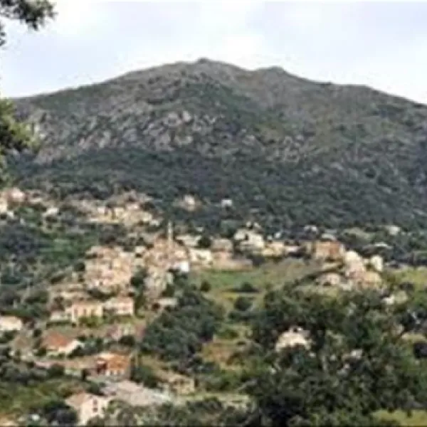 camping-e-canicce-moltifao-611za