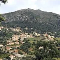 camping-e-canicce-moltifao-611za