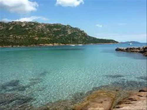 camping-e-canicce-moltifao-9gdcy