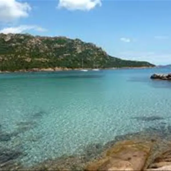 camping-e-canicce-moltifao-9gdcy