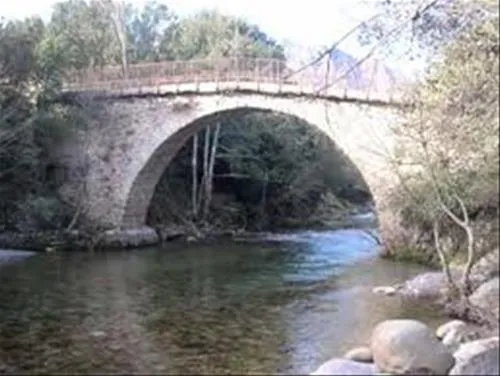 camping-e-canicce-moltifao-cuocf