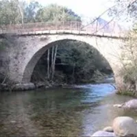 camping-e-canicce-moltifao-cuocf