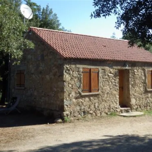 camping-e-canicce-moltifao-rpv9i