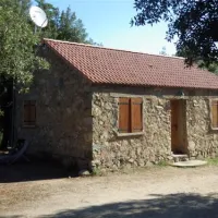 camping-e-canicce-moltifao-rpv9i