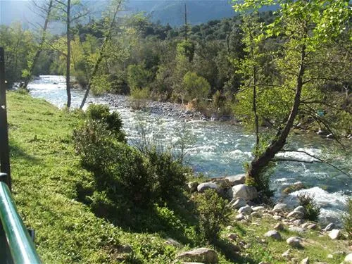 camping-e-canicce-moltifao-sqpf0