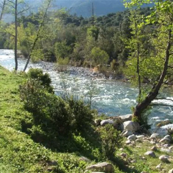 camping-e-canicce-moltifao-sqpf0