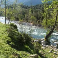 camping-e-canicce-moltifao-sqpf0