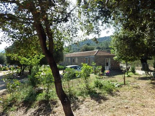 camping-e-canicce-moltifao-vbxvn