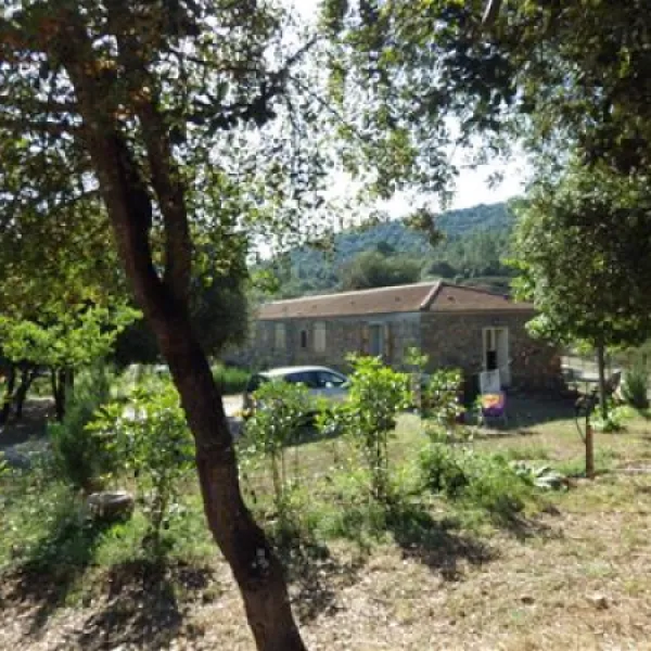 camping-e-canicce-moltifao-vbxvn