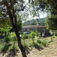 camping-e-canicce-moltifao-vbxvn
