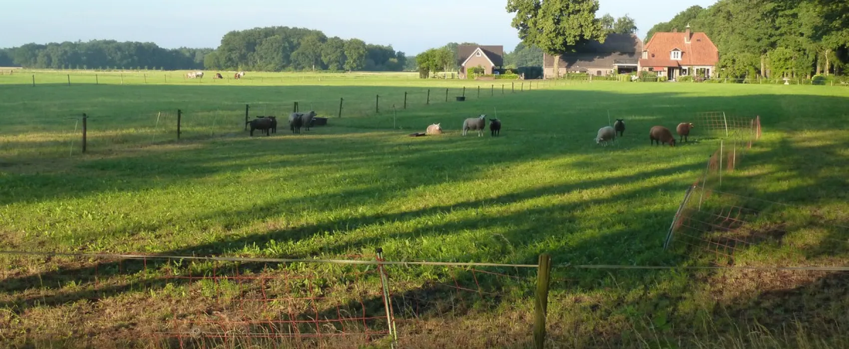 Camping Warnsveld