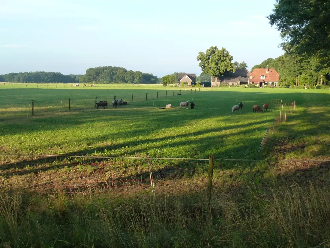 camping-warnsveld-warnsveld-q3uvu