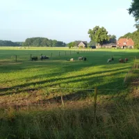 camping-warnsveld-warnsveld-q3uvu