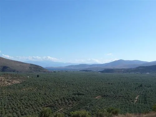 campsite-chrissa-delphi-fokis-6bspb