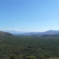 campsite-chrissa-delphi-fokis-6bspb