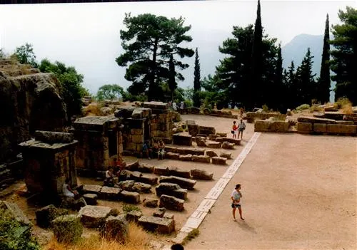 campsite-chrissa-delphi-fokis-9kpbs