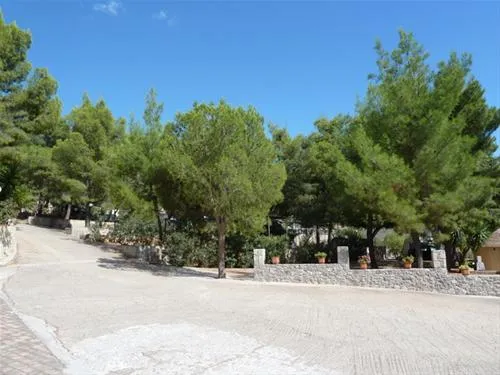 campsite-chrissa-delphi-fokis-coezc