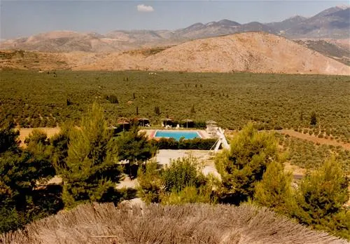 campsite-chrissa-delphi-fokis-lngem