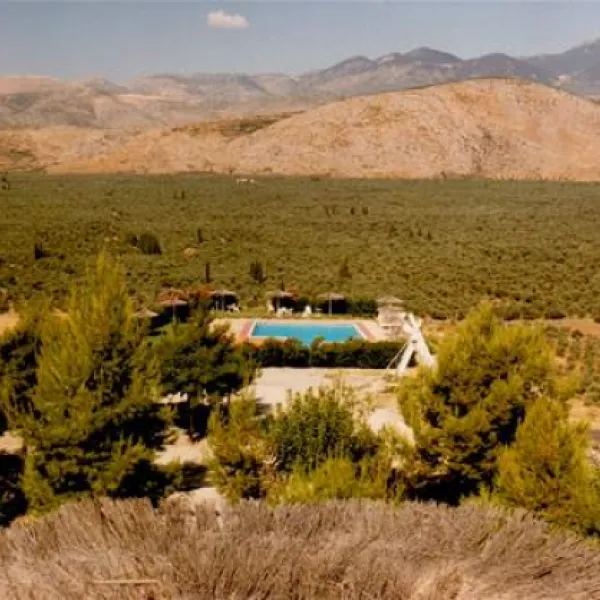 campsite-chrissa-delphi-fokis-lngem