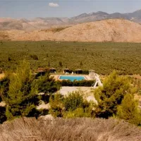 campsite-chrissa-delphi-fokis-lngem