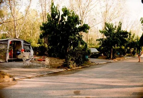 campsite-chrissa-delphi-fokis-rqjpv