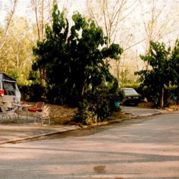 campsite-chrissa-delphi-fokis-rqjpv