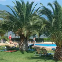 campsite-chrissa-delphi-fokis-xx73o