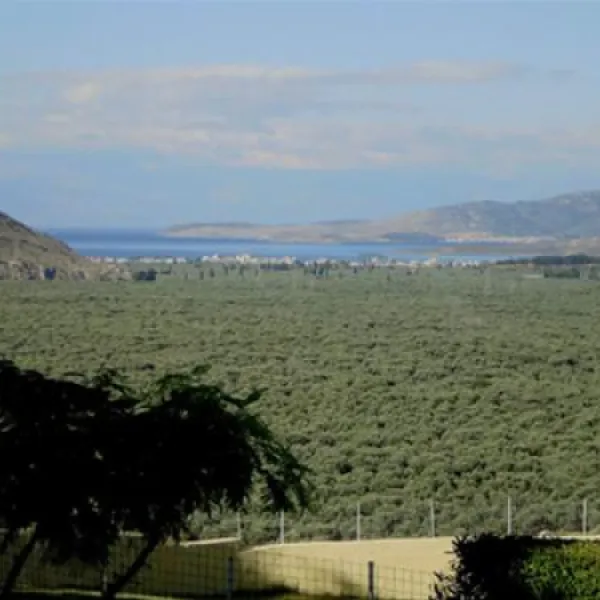 campsite-chrissa-delphi-fokis-zdxwq
