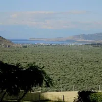 campsite-chrissa-delphi-fokis-zdxwq