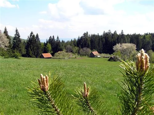 kamp-zelenkovac-podranica-bb7bp