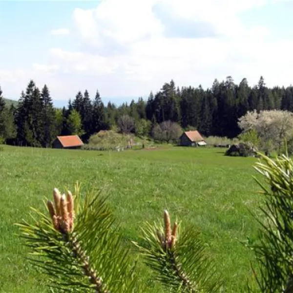 kamp-zelenkovac-podranica-bb7bp
