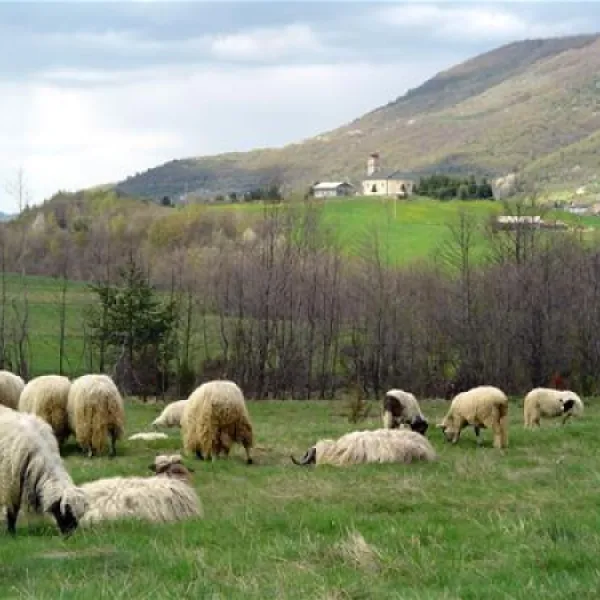 kamp-zelenkovac-podranica-meolh