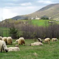 kamp-zelenkovac-podranica-meolh