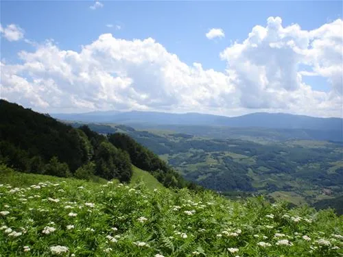 kamp-zelenkovac-podranica-ybrti
