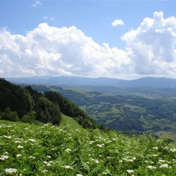 kamp-zelenkovac-podranica-ybrti