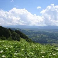 kamp-zelenkovac-podranica-ybrti