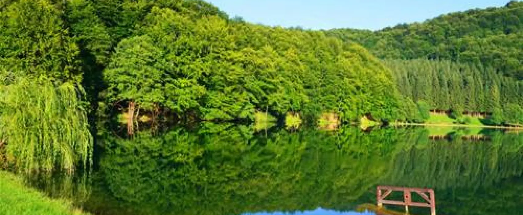 Kamp Zelenkovac