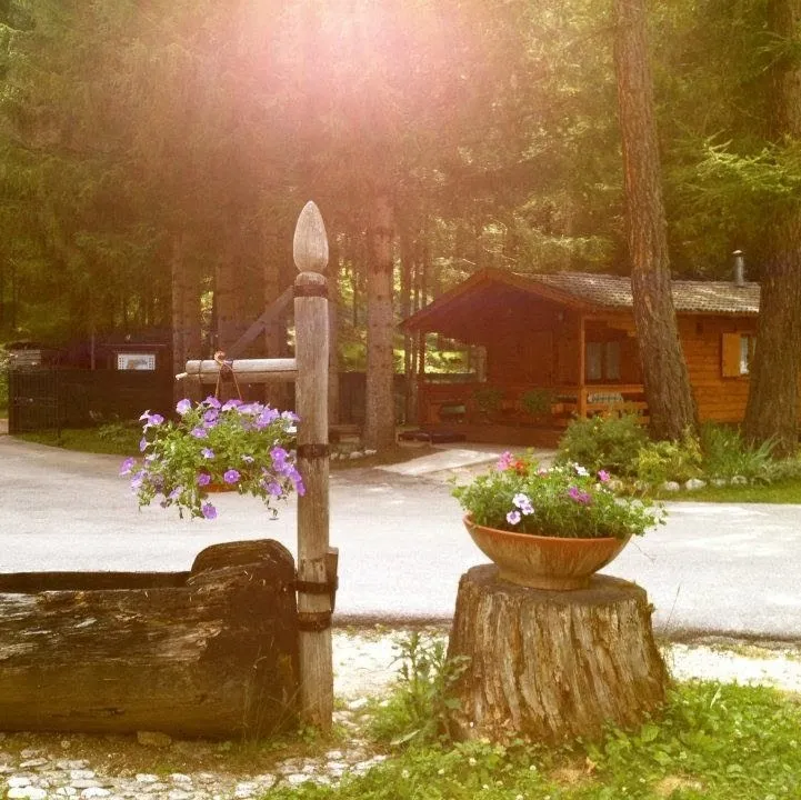 camping-olympia-belluno-hz4zr